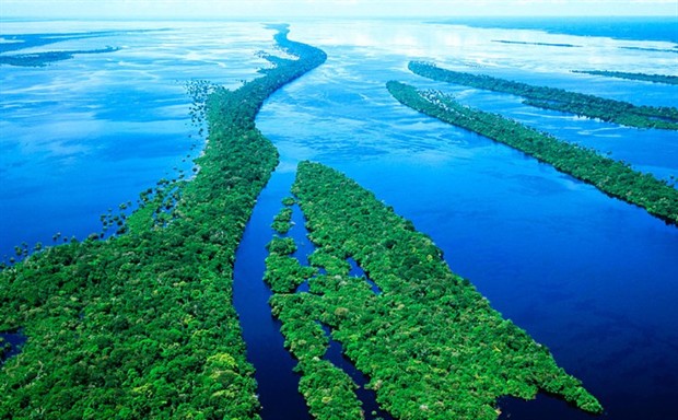 亞馬遜大(dà)火(huǒ)，燒出真相(xiàng)幾何？